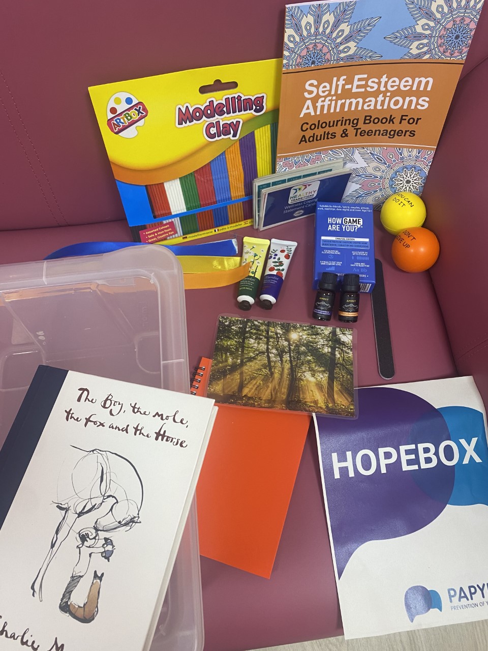 hope-box-child-health-qeqm-ed-21.3.23.jpg