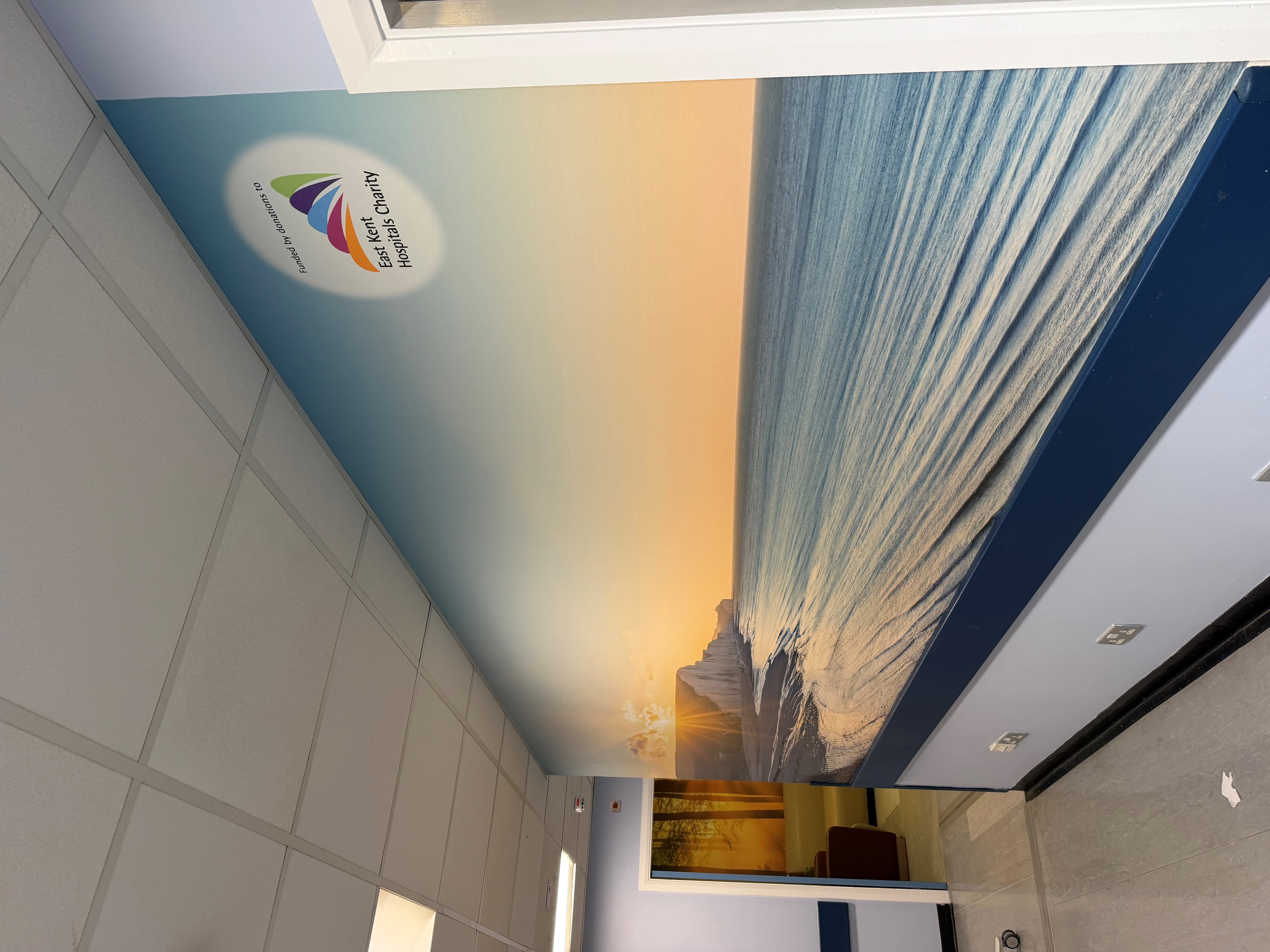 mural-1.jpg